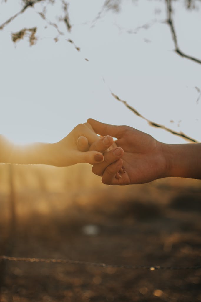 A couple holds hands in a romantic gesture during a serene countryside sunset.