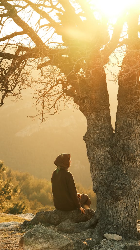 Person sitting under a tree in golden sunlight, embracing tranquility.