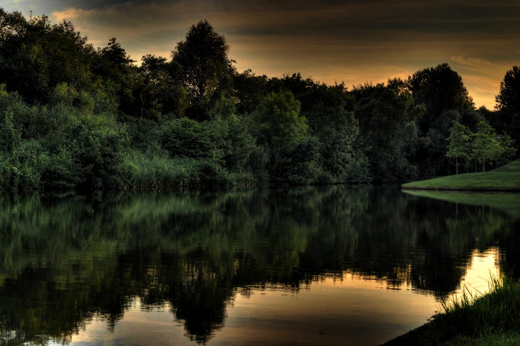 Tranquil forest landscape with vibrant reflections in twilight over a serene water body.