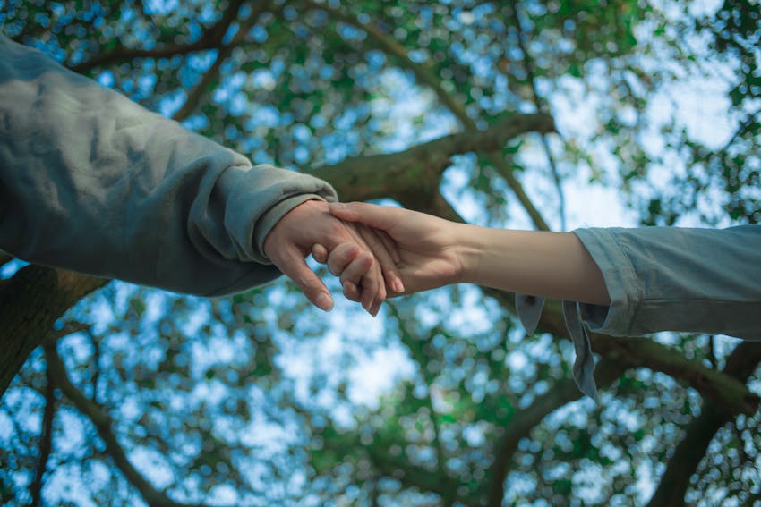 Two hands clasping under a leafy tree, symbolizing connection and support.